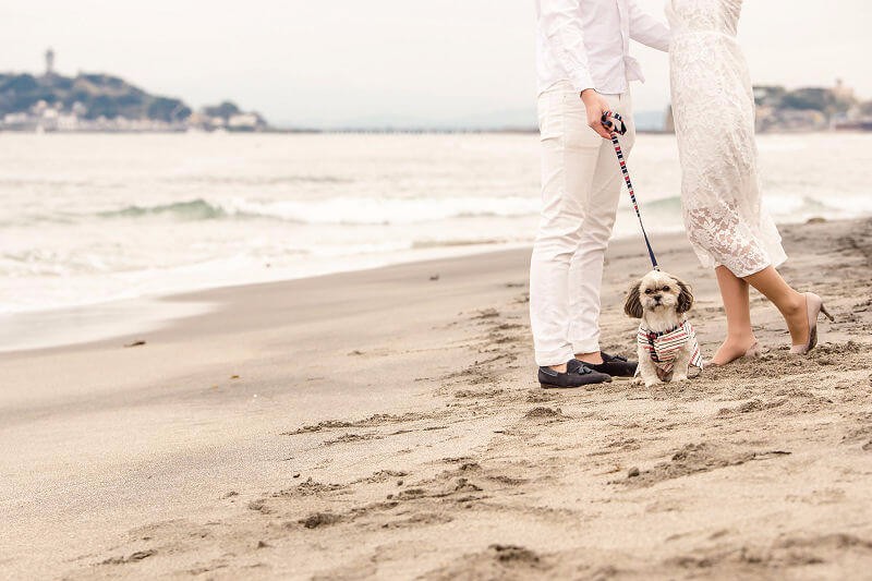 海で愛犬と撮るフォトウェディング