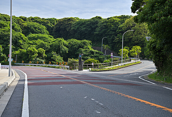 江の島でフォトウェディングするふたり
