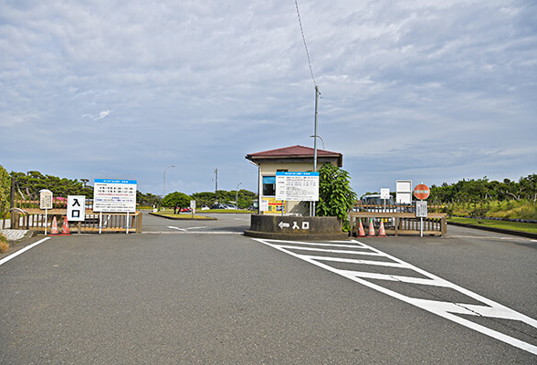 江の島でフォトウェディングするふたり