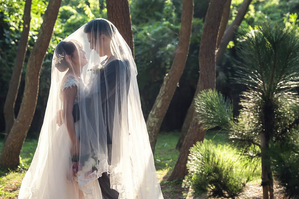 フォトプラン料金スタンダート